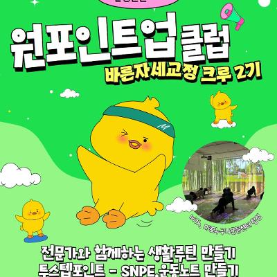 서울청년센터 마포 <원포인트업클럽 바른자세교정크루 2기 - 투스텝포인트> 참여자 모집 