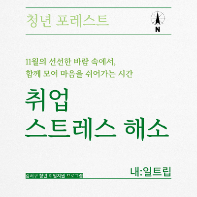 [내:일트립] 청년 포레스트 - 크리스마스 모루인형 만들기 참여자 모집