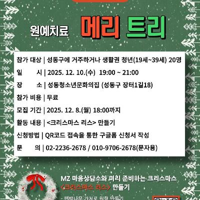 성동청소년문화의집 &lt;MZ마음상담소 - 12월 집단프로그램 원예치료 &lt;메리트리&gt;&gt; 참여자 모집