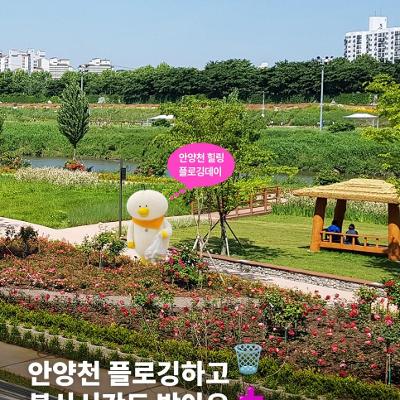 구로구청<걷는김에 쓰레기 줍고 봉사시간까지! 안양천 힐링 플로깅 데이>