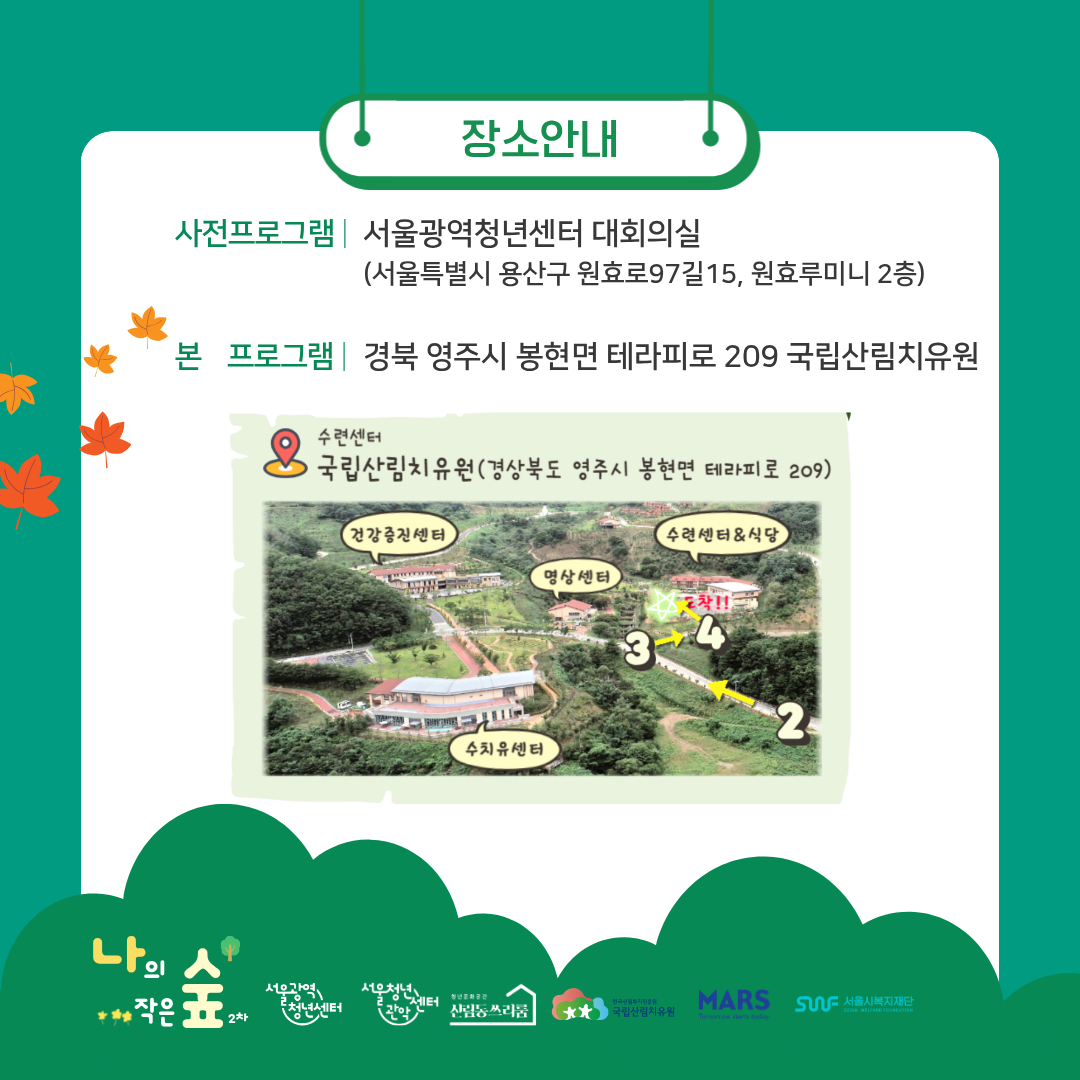 브로콜리 지역정보 관련 사진 7