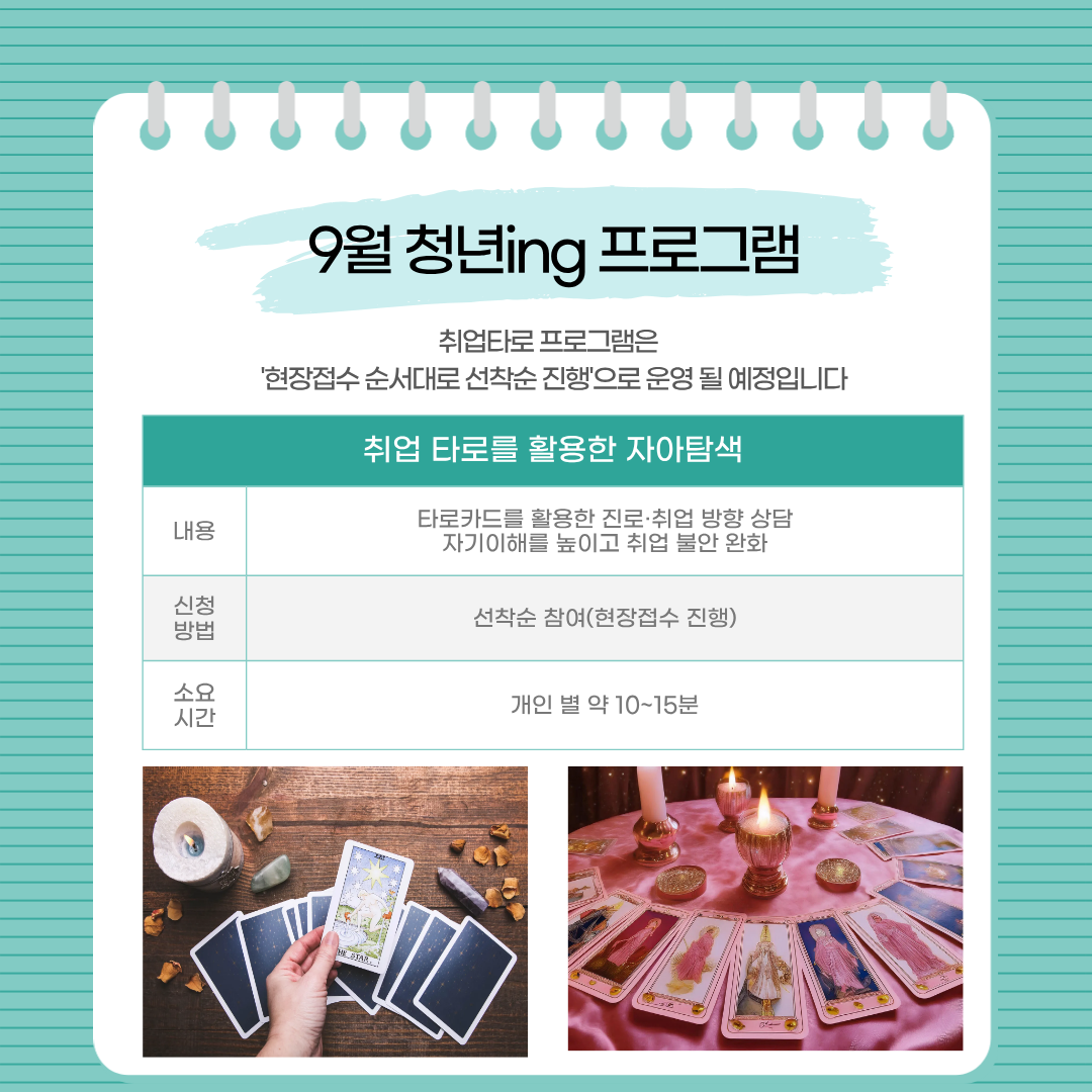 브로콜리 지역정보 관련 사진 4