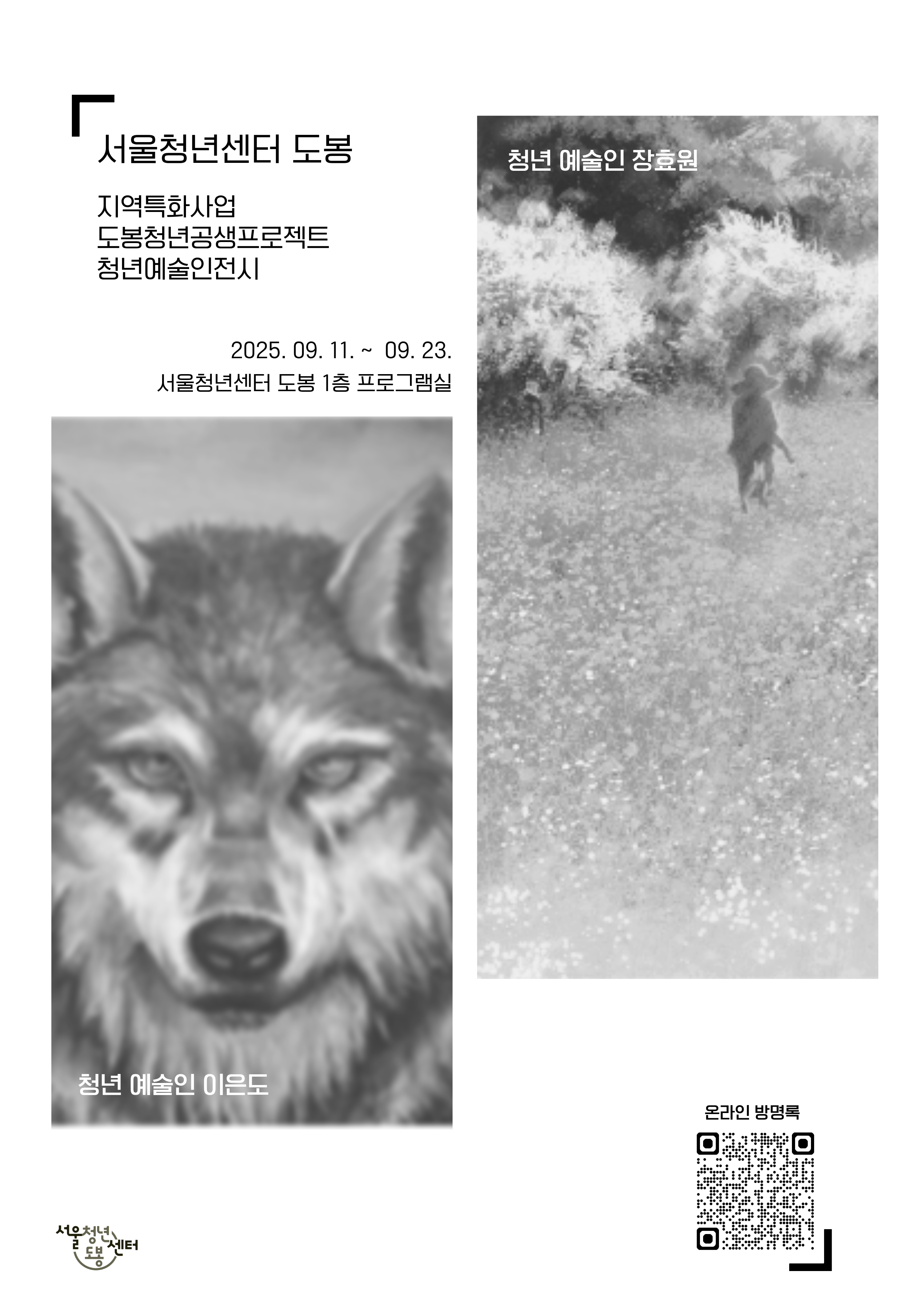 브로콜리 지역정보 관련 사진 1