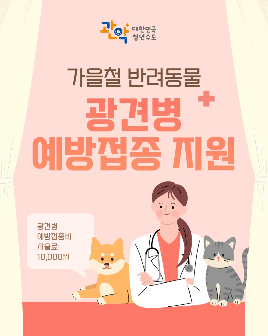 브로콜리 지역정보 관련 사진 1