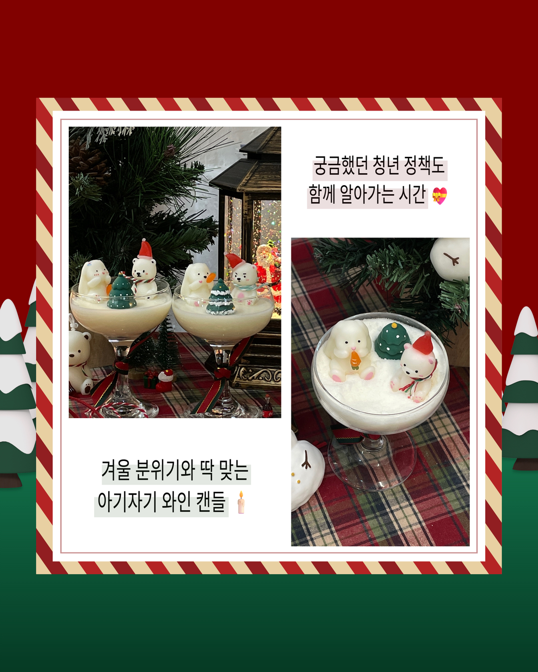 브로콜리 지역정보 관련 사진 2