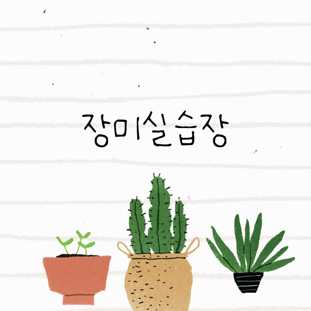 브로콜리 지역정보 관련 사진 1