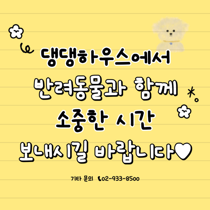 브로콜리 지역정보 관련 사진 6