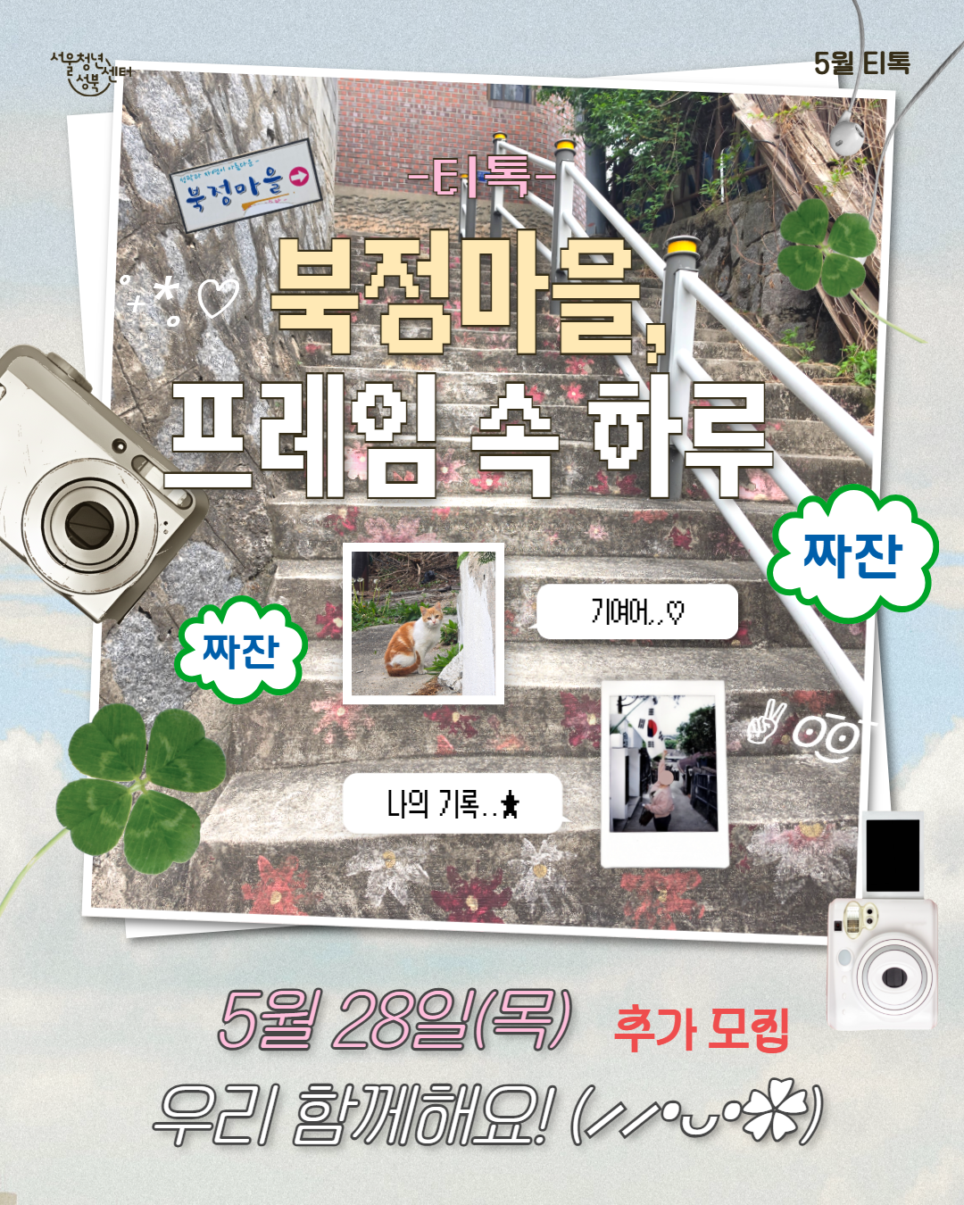 티톡 모집